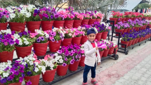 PAVITBIR SINGH DHILLON