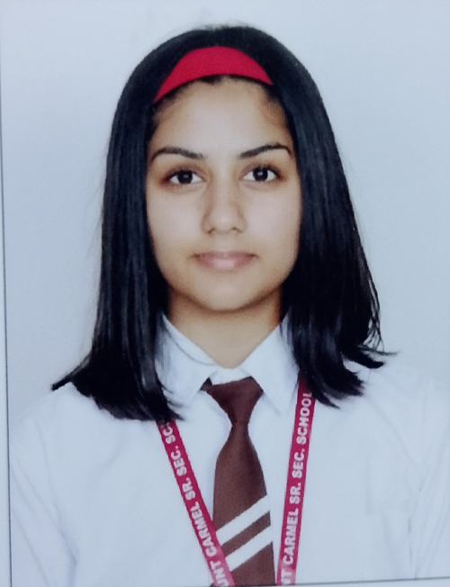 PAHUL PREET
