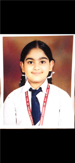 VANSHIKA SHARMA