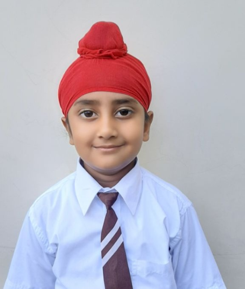 ANSHVEER SINGH