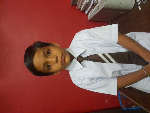 PURAV MEHMI